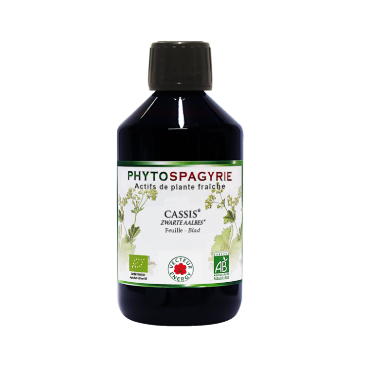 Tinctuur Zwarte Bes Bio (Fytospagyrisch extract) - 300 ml