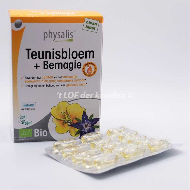 Physalis Teunisbloem + Bernagie Bio - 2