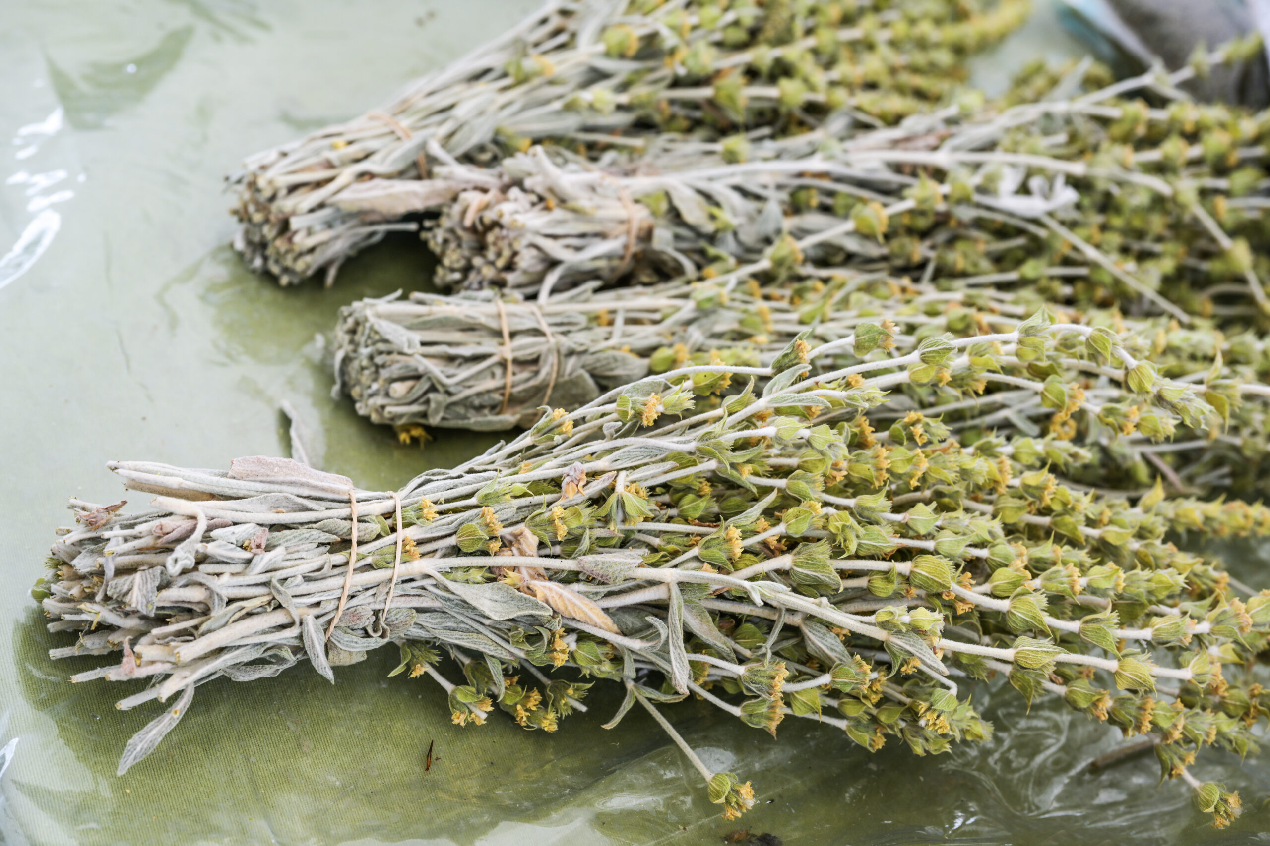 Tisane Montagne Grecque bio - 30 gr - 3