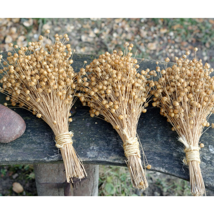 Graines de lin brun Bio - 150 gr - 3