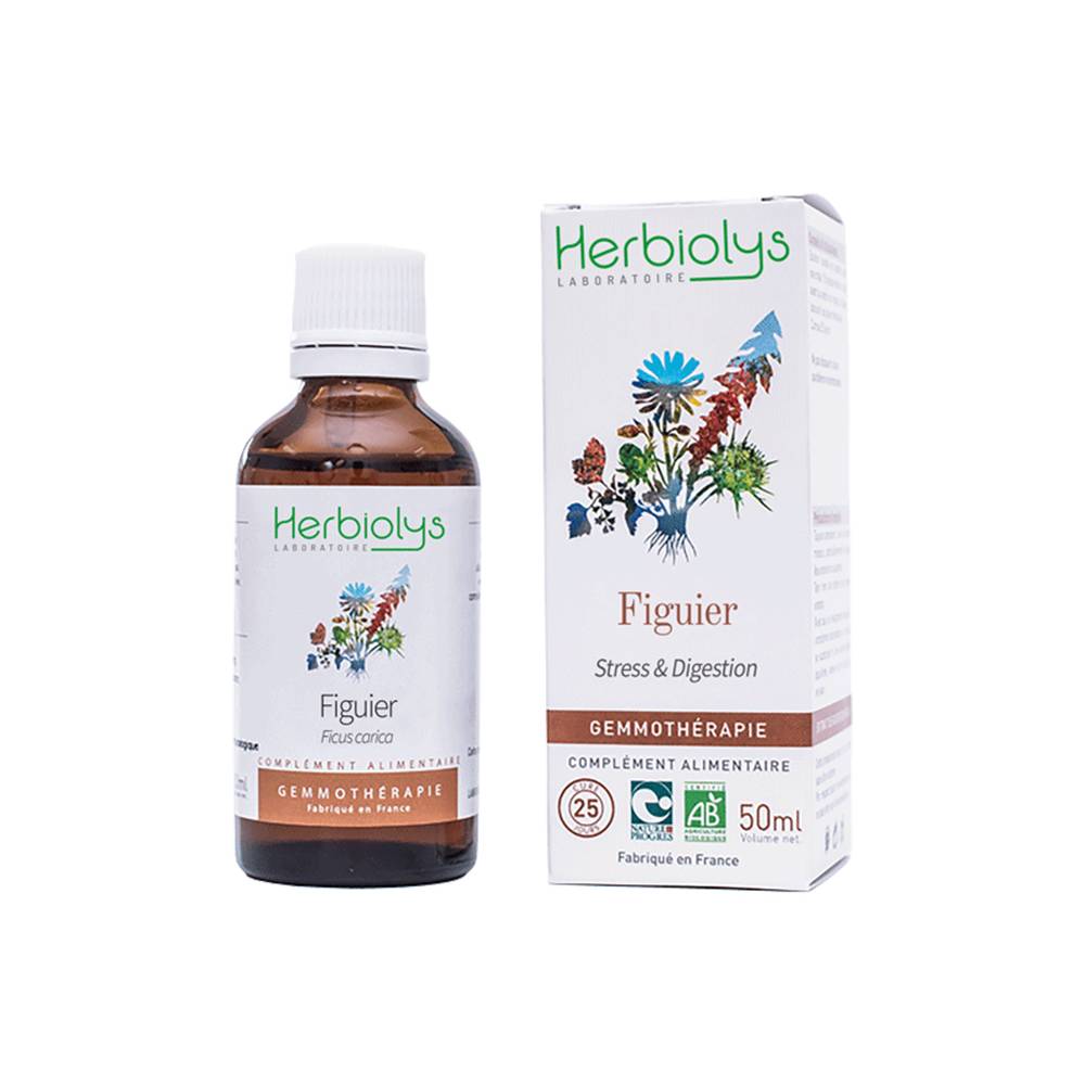 Vijgenboom knoppenmaceraat (Gemmo) Bio - 50 ml