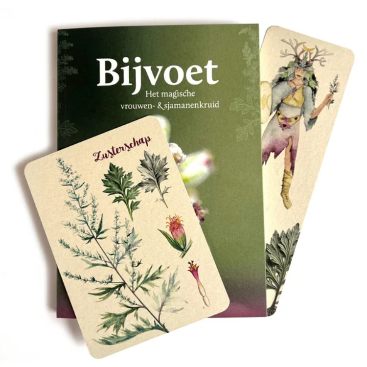 Bijvoet: Het magische vrouwen -en sjamanenkruid - 2