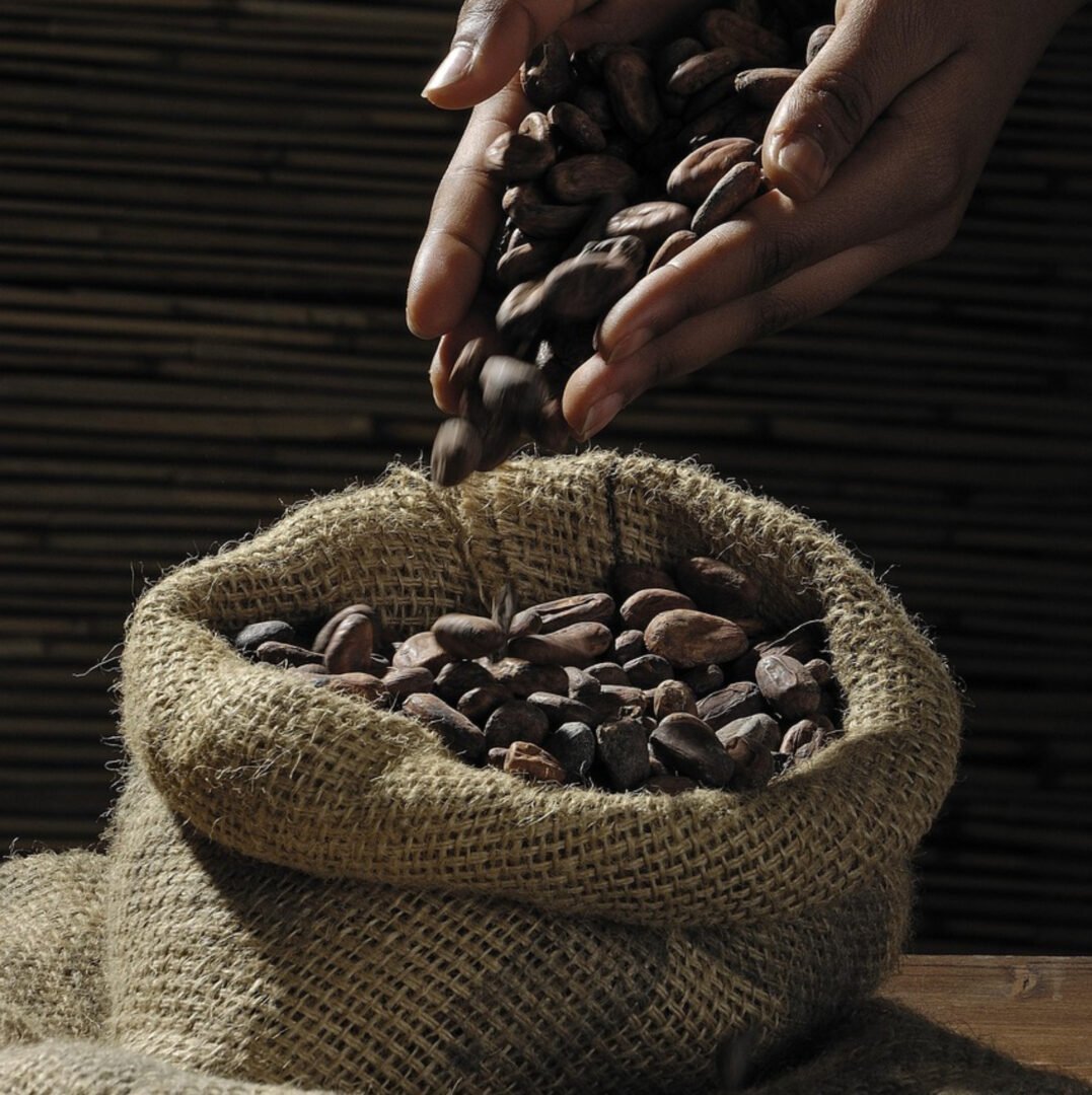 Ceremoniële Cacao (Criollo) Bio - 200 g - 3