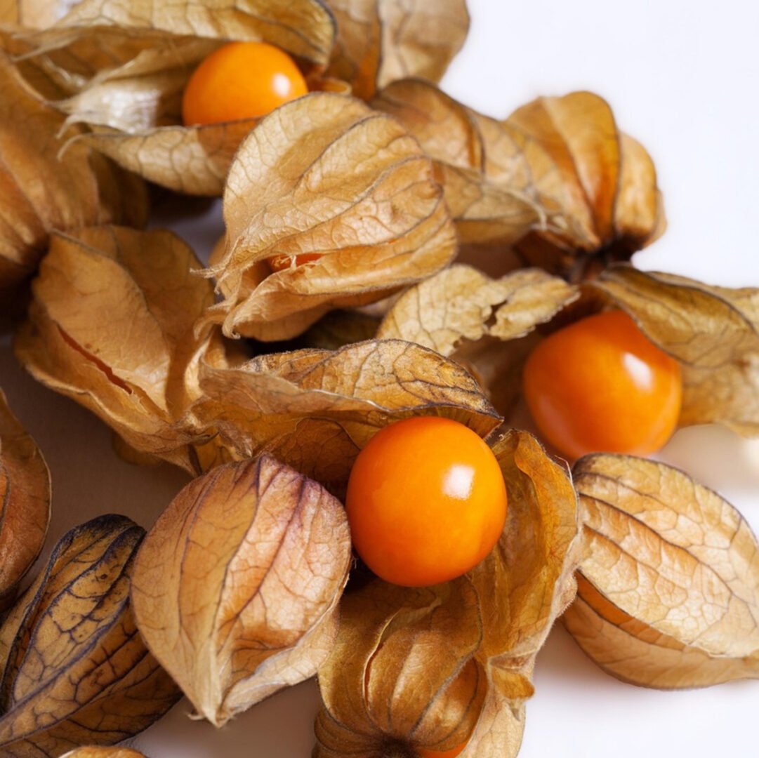 Goudbes Bio (Physalis of Kaapse kruisbes) - 100 g - 2