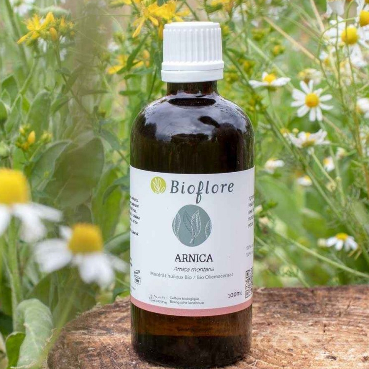 Arnica Olie Bio - 100 ml