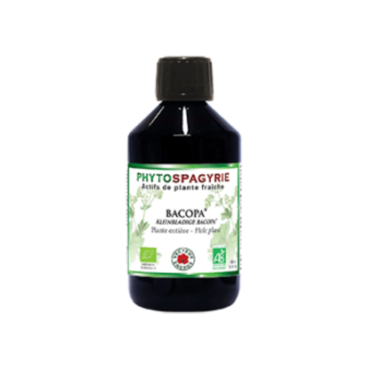 Tinctuur Bacopa (Brahmi) Fytospagyrisch Extract Bio - 300 ml